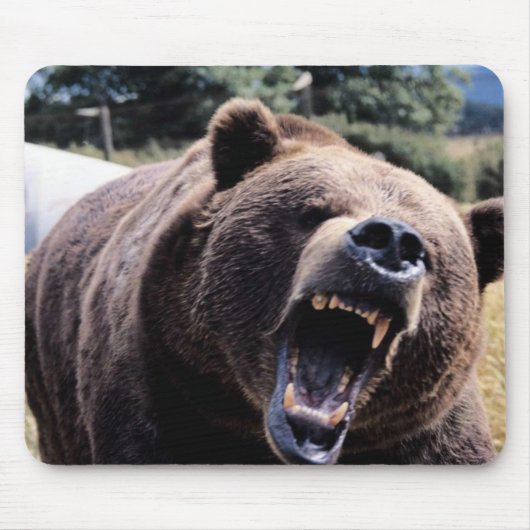 Roaring Teddy Bear Muismat (Voorkant)