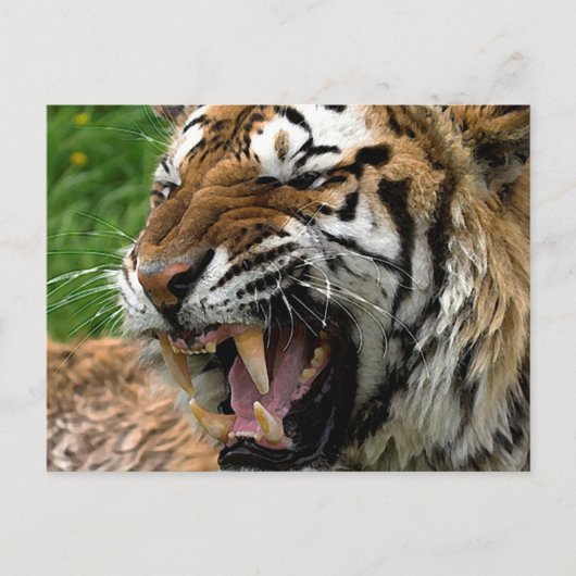 Roaring tijger briefkaart (Voorkant)