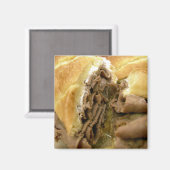Roast beef sandwich met crèmegeit magneet (Voorkant / Achterkant)
