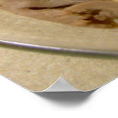 Roast beef sandwich met crèmegeit poster (Hoek)