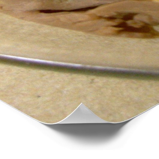 Roast beef sandwich met crèmegeit poster (Hoek)