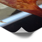 Roast Duck Poster (Hoek)