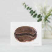 Roast koffieboon, studioshot briefkaart (Staand voorkant)