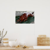 Roast varken, Barbeque, wie dan? Poster (Keuken)