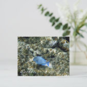 roatán briefkaart (Staand voorkant)