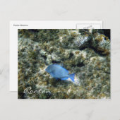 roatán briefkaart (Voorkant / Achterkant)