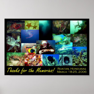 Roatan Collage Poster