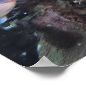 Roatan Hawksbill Poster (Hoek)