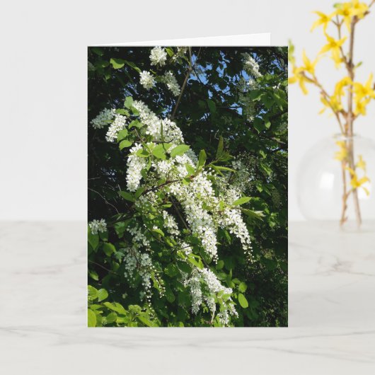 Rob met witte bloemen kaart (Gele Bloem)