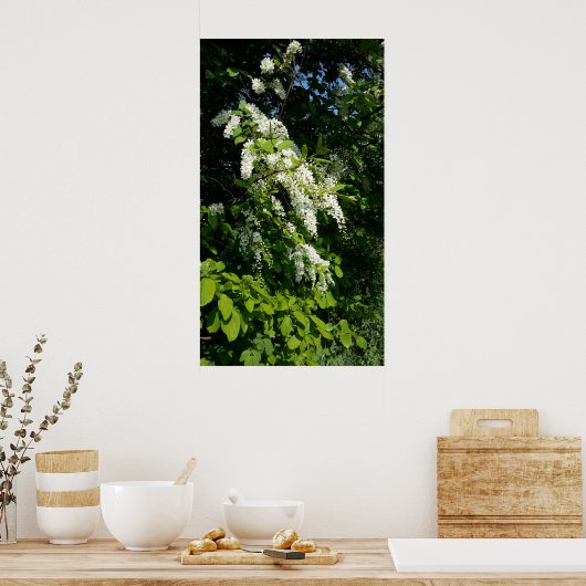 Rob met witte bloemen poster (Keuken)