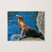 Robben Island Florida Legpuzzel (Horizontaal)