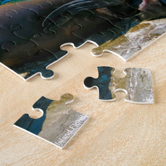 Robben Island Florida Legpuzzel (Zijkant)