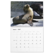 Robben Viering Muurkalender 2026 Wilde Dieren Kalender (Mar 2027)