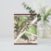 Robber Fly Briefkaart (Staand voorkant)