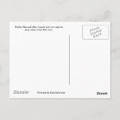 Robber Fly Briefkaart (Achterkant)