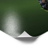 Robber Fly Foto Afdruk (Hoek)