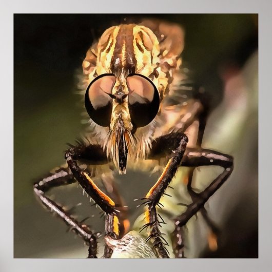 Robber Fly Profile Asildae Artistic Close Up Poster (Voorkant)