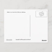 Robbers Cave State Park Briefkaart (Achterkant)