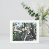 Robbers Caves Oklahoma Briefkaart (Staand voorkant)