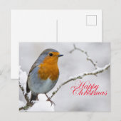 Robbin Redborst Briefkaart (Voorkant / Achterkant)