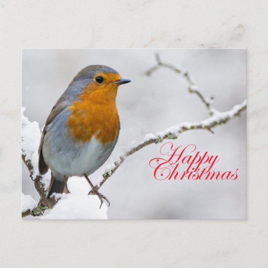 Robbin Redborst Briefkaart (Voorkant)