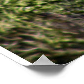 Robbin Redborst Poster (Hoek)