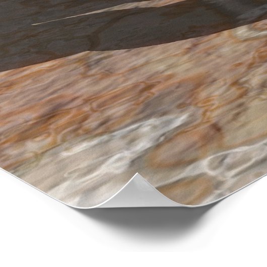 Robby de robot poster (Hoek)