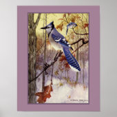 Robert Bruce Horsfall Blue Jay Faux Matte Poster (Voorkant)