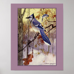 Robert Bruce Horsfall Blue Jay Faux Matte Poster