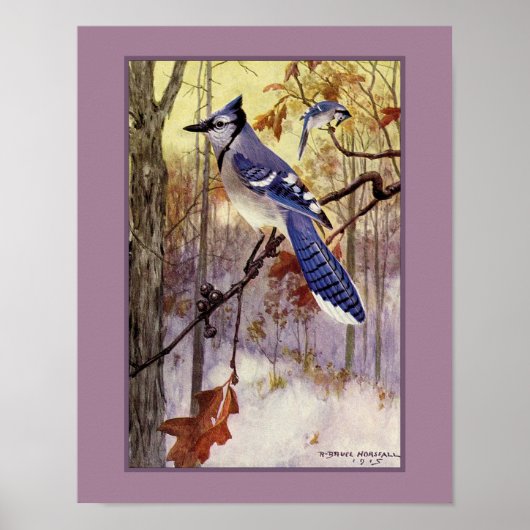 Robert Bruce Horsfall Blue Jay Faux Matte Poster (Voorkant)