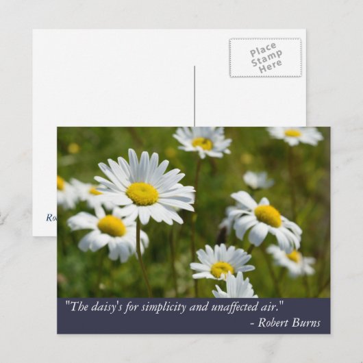 Robert Burns Daisy Quote Briefkaart (Voorkant / Achterkant)