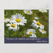 Robert Burns Daisy Quote Briefkaart (Voorkant)