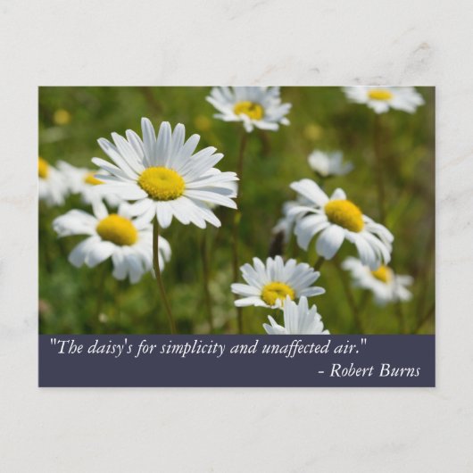 Robert Burns Daisy Quote Briefkaart (Voorkant)