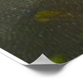 Robert Burns Poster (Hoek)