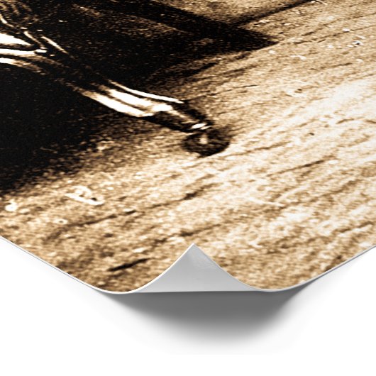 Robert E. Lee  Mathew Brady Poster (Hoek)