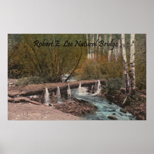 Robert E. Lee Natural Bridge Poster (Voorkant)