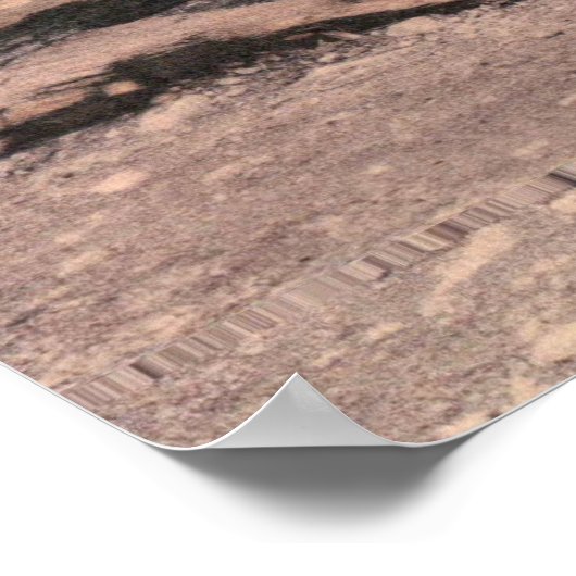 Robert E. Lee Natural Bridge Poster (Hoek)