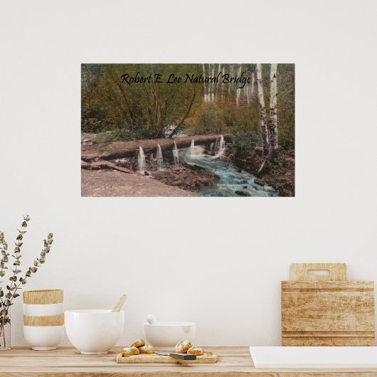 Robert E. Lee Natural Bridge Poster (Keuken)