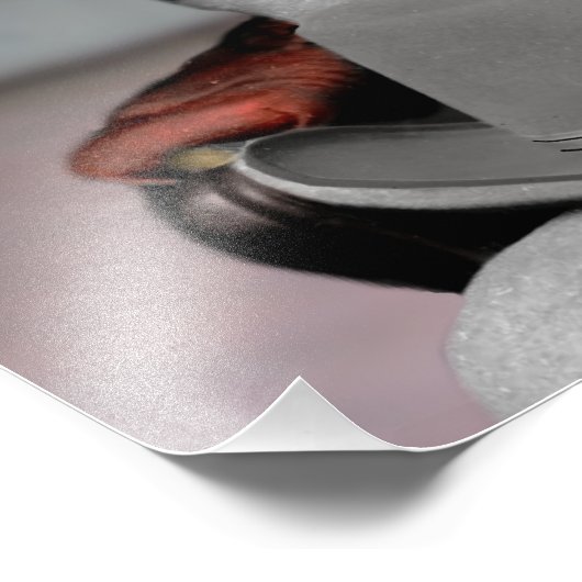 Robert E. Lee Photo Print Foto Afdruk (Hoek)