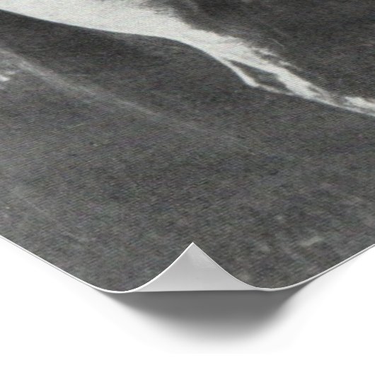 Robert E. Lee Poster (Hoek)