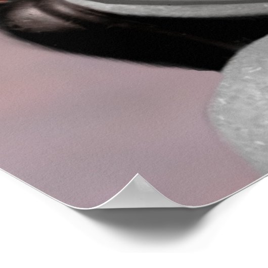 Robert E. Lee Poster (Hoek)