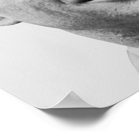 Robert F. Kennedy Presidentiële campagne 1968 Poster (Hoek)