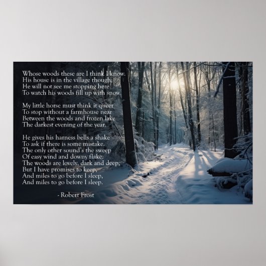 Robert Frost: Op een sneeuwavond langs de Bossen Poster (Voorkant)