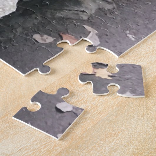 robert h . treman parkbrug legpuzzel (Zijkant)