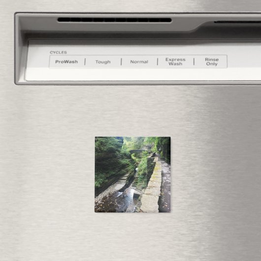 robert h . treman parkbrug magneet (Insitu (Vaatwasser))