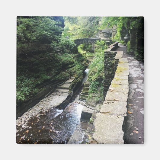 robert h . treman parkbrug magneet (Voorkant)