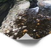 robert h . treman parkbrug poster (Hoek)