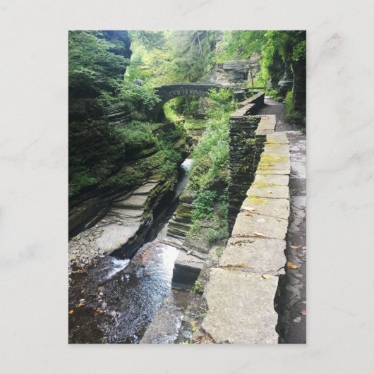 Robert h. treman state park bridge briefkaart (Voorkant)