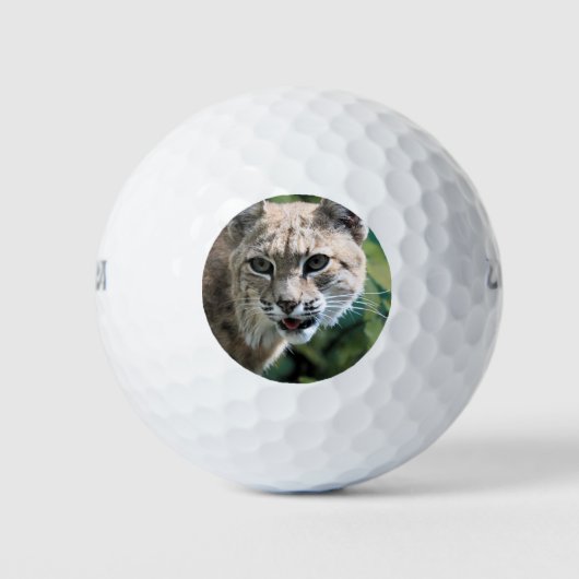 Robert J.Bobcat Golfballen (Voorkant)