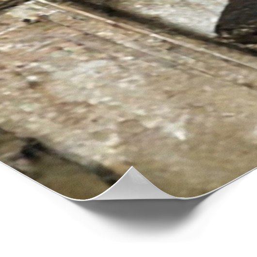 Robert Jacquinot Tour Etappe 5 neemt een pauze 192 Poster (Hoek)